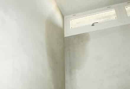 Stopping Water Damage Starts With the Roof, Windows, and Doors - Falcon Windows and Doors